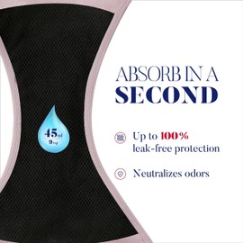 KARSWATT Washable High Rise Urinary Incontinence Underwear for Women Leak Proof Postpartum Protection Panties 2 Pack (Small, Dusk)