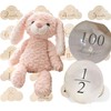 JP-SAKURA [Genuine] First Toy, Rabbit, Half Birthday, 100th Celebration, My