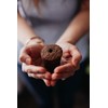 Click and Grow Smart Garden Wild Strawberry Plant Pods, 9-Pack