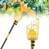 Fruit Picker Mango Picker, 66 Inch Long Heavy Duty Fruit