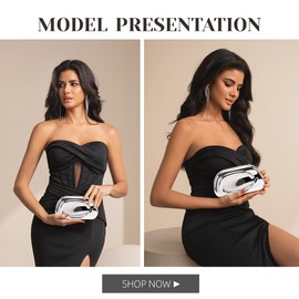 PHILOMENA Evening Clutch Purses Women Acrylic Handbags Metal Handlebars Shoulder Crossbody Bag Wedding Party Causal, Silver