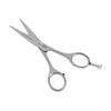 NTS-Solingen Silver Line 250 Hairdressing Scissors Satin 11.5-16.5 cm 100%