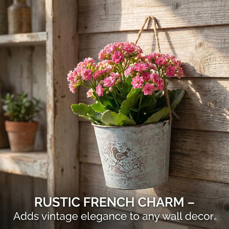 Riadyet 2 Pack Hanging Planters, 7.1 Inch Vintage Bird Flower