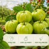 Green Acerola Acerola C Green Acerola Vitamin C Powder, 14