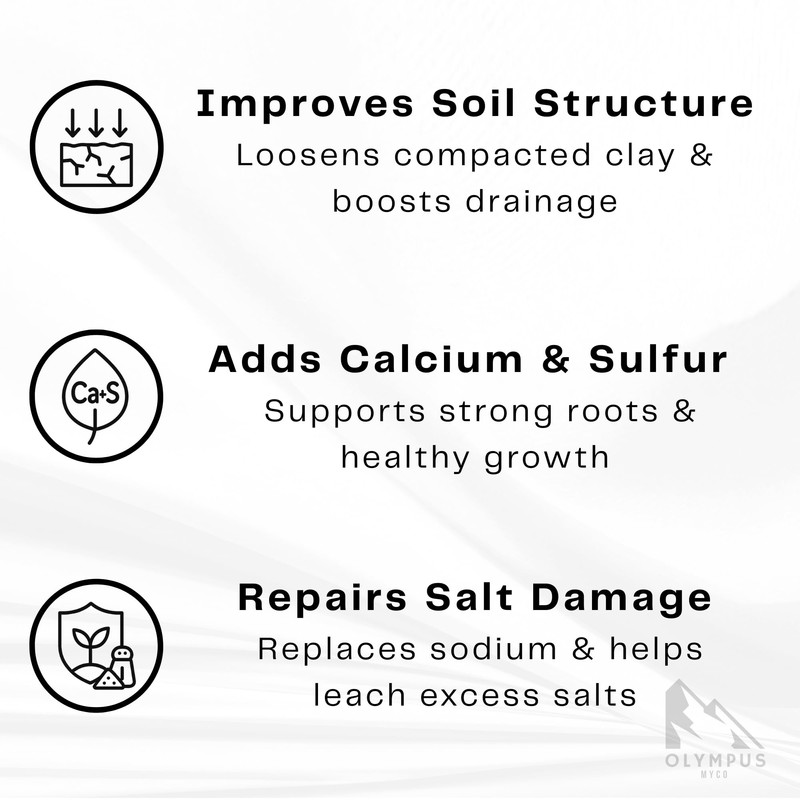 97% Pure Gypsum Powder – High Solubility Calcium Sulfate Dihydrate