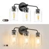 ALAISLYC 3-Light Bathroom Vanity Light Fixtures, 18 Inch Black Vanity