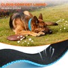Taglory Reflective Dog Collar with Safety Locking Buckle, Adjustable Nylon