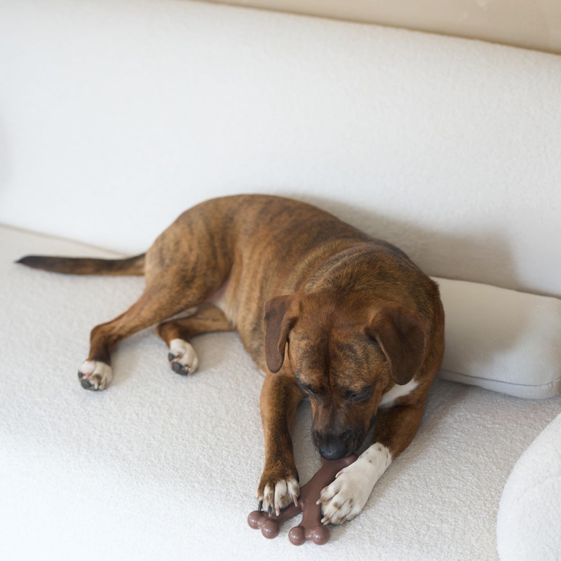 SPOT Bam-Bones Wishbone - Made with Strong Bamboo Fiber, Durable