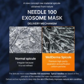 Mascarilla De Exosomas De Leche Wellderma, 25 Ml X 5 Lminas                                                                                           