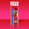 Mentos SugarFree Chewing Gum with Xylitol 15 Piece Bottle Bulk