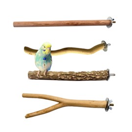 Natural Perches Set for Birds, Standing Bird Cage Accessories, Perches for Bird Cages, Perches for Budgies, Budgies Accessories, for Budgies, Canary, 4 Pieces