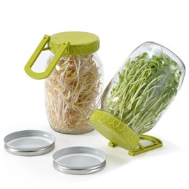 Happyiren Complete Sprouting Kit - 2 Large Wide-Mouth Mason Jars 32 Oz, 2 Foldalbe Screen Lids with Draining Stand, 2 Metal Canning Lids, Bean Sprouts Grow Kit for Broccoli alfalfa