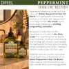 Difeel Aceite de cabello natural de primera calidad, aceite de