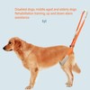 2Pcs Dog Back Legs Support Harness Soft Coral Velvet Adjustable