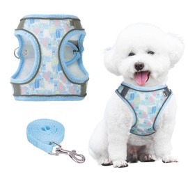 PawSailor Anti-Pull Dog Harness and Lead Set, Breathable, Adjustable, Reflective with Floral Print, Soft Padded Vest Harness for Medium Dogs, Blue, L