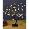LIGHTSHARE Cherry Blossom Bonsai Tree,Warm White, Brown