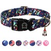 MR. CHUBBYFACE Dog Collar Universal Rocket Soft Adjustable Pet Boy