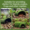 Hollima Reptile Tunnel Cave Hide, Handmade Shelter for Gecko Snake