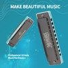 CONJURER Harmonica for Adults 10 Hole Diatonic Deluxe C Key