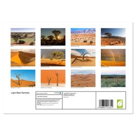 Light-filled Namibia (Monthly Wall Calendar 2025 11.7" x 16.5" (open)), CALVENDO 14 Month Calendar