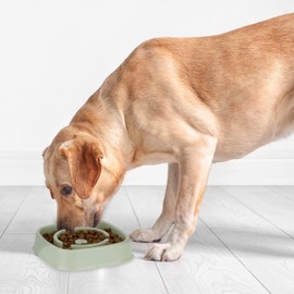2 x Anti Slip Bowls, Feeding Bowl for Dogs, Pet Bowl, 800 ml, Slow Eating, Dog Bowl Dishwasher Safe, Green