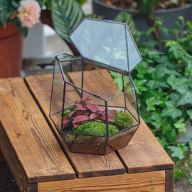 NCYP Small Close Geometric Terrarium with Door (Handmade 7.5inches) Black Irregular Glass Planter, Modern Succulent Cacti Flower Pot, Home Garden Decor DIY Centerpiece (Terrarium Only)