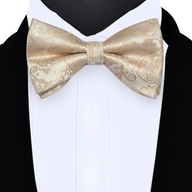 GUSLESON Champagne Bow Tie Pocket Square Set for Wedding Pre-Tied Silk Beige Paisley Bowties Handkerchief Cufflinks for Men (0497-20)