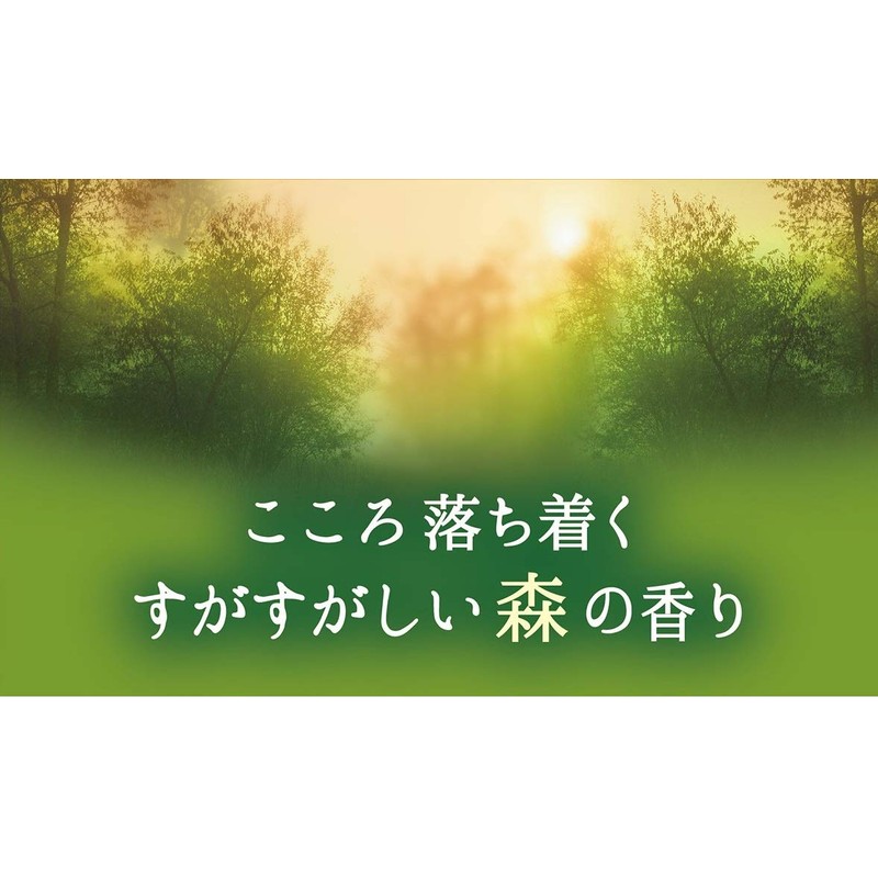 やさしい時間 しゃぼん/森 進物 4箱入 包装品