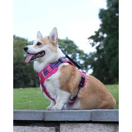 JUFOO No Pull Dog Harness with Easy Control Soft Handle for Small Medium Large Dogs,Reflective Adjustable Puppy Harness,Heavy Duty Girl Boy Pet Vest with Safety Buckle (Pink, L)