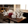Abbott Collection 20-SEASHORE/25 Large White 3D Starfish Decorative Resin Figurine