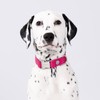 HUGO & HUDSON Tweed Dog Collar, Luxury Adjustable Quick Release