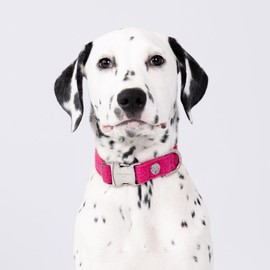 HUGO & HUDSON Tweed Dog Collar, Luxury Adjustable Quick Release Safety Metal Buckle, Pink, S