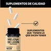 Beyond Vitamins | Hongo Melena de León | Extacto proveniente