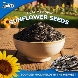 GIANTS Dill Pickle Sunflower Seeds - Sunflower Seeds Bulk, Big Sunflower Seeds to Eat, Roasted Pickle Sunflower Seeds, 8g Protein Per Serving - 5 oz Resealable Bags (Pack of 12)