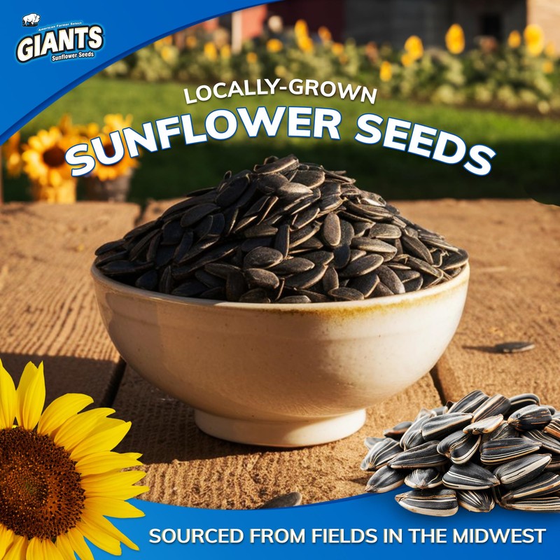 GIANTS Dill Pickle Sunflower Seeds - Sunflower Seeds Bulk, Big