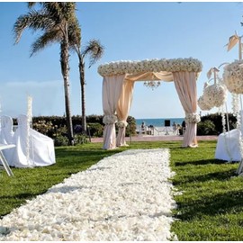 Artificial Red Rose Petals Fake Rose Petals - Luxurious Fake Flower Petals for Weddings, Rose Petals for Romantic Night, Valentine's Day and All Occasion Celebrations (1100, Lvory)