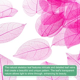 M METERXITY 100-Pack Skeleton Leaves, Natural Rubber Tree Dried Pressed Leaves Vein for Resin/DIY Crafts Card/Scrapbook/Wedding, Small Leaves Decorative [8-9cm, Rose Red]