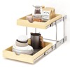 YORKING 2 Tier Pull Out Cabinet Organizer,17" W x 21"