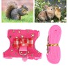 Hamster Harness, Adjustable Walking Vest Set Lead Leash Walking Harness