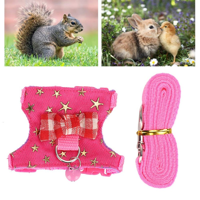 Hamster Harness, Adjustable Walking Vest Set Lead Leash Walking Harness