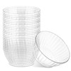 PLASTICPRO 30 Pack Crystal Like Clear Disposable Plastic Plates Dinner