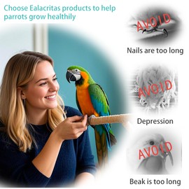 EALACRITAS Parrot Playground Set - Cage Hanging Perches with Natural Wood Stands, Seagrass Swing, Fun Chewable Platforms, and Dual-Sided Mirror for Parrots (Cork-C-Perch)