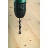 Bosch Professional Wood Twist Drill Bit with 1/4 Hex Shank
