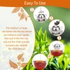 Cute Tea Infuser for Loose Tea, CoiTek Stainless Steel Tea