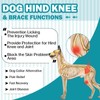 Hjyokuso Recovery Suit For Dogs - Leg Surgery Suit, Lick