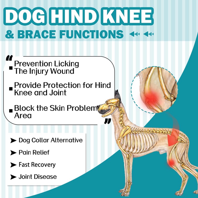 Hjyokuso Recovery Suit For Dogs - Leg Surgery Suit, Lick