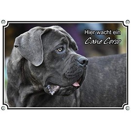 Petsigns Dog Sign Cane Corso – Beautiful Warning Sign – UV Resistant – Italy Great Dane DIN A4