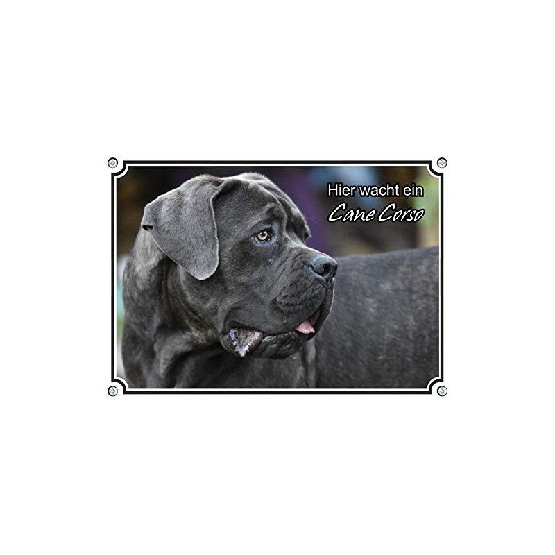 Petsigns Dog Sign Cane Corso – Beautiful Warning Sign –