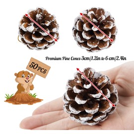 50 Christmas Pine Cones, Natural Pinecones Ornament Snow Pine Cone Decorations With String for Gift DIY Crafts Home Xmas Tree Wreath Dried Garland Holiday Winter Decoration (Assorted Sizes 3 to 6cm)