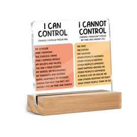 Mental Health Things I Can Control Decor Sign, Motivational Office Acrylic Sign With Wooden Stand, Thank You Gifts for Woman Coworker Nurse Friends Decorative Desk Accessories Table Shelf Decor-1
